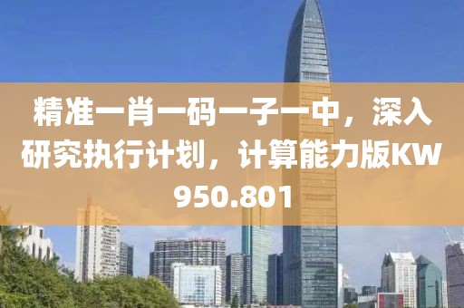 精准一肖一码一子一中，深入研究执行计划，计算能力版KW950.801