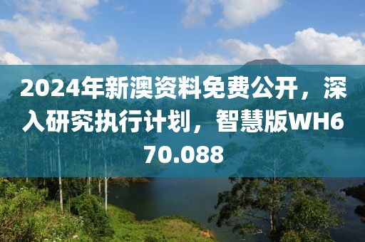 2024年新澳资料免费公开，深入研究执行计划，智慧版WH670.088