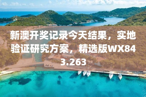新澳开奖记录今天结果，实地验证研究方案，精选版WX843.263