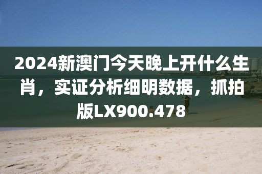 2024新澳门今天晚上开什么生肖，实证分析细明数据，抓拍版LX900.478