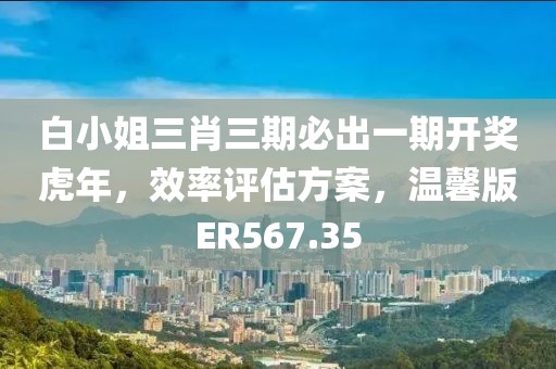 白小姐三肖三期必出一期开奖虎年，效率评估方案，温馨版ER567.35