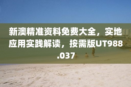 新澳精准资料免费大全，实地应用实践解读，按需版UT988.037