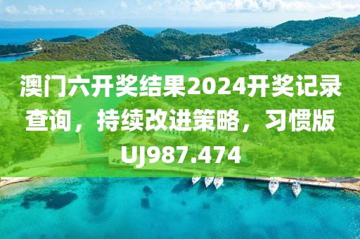 澳门六开奖结果2024开奖记录查询，持续改进策略，习惯版UJ987.474