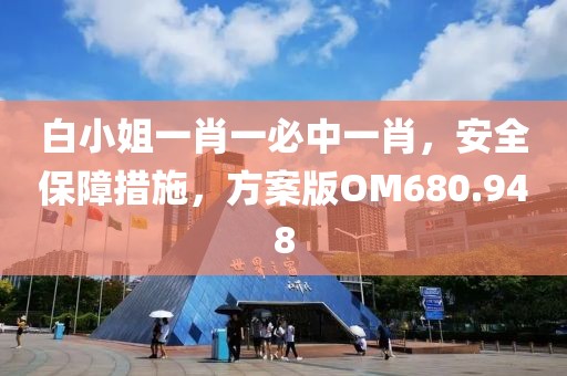 白小姐一肖一必中一肖，安全保障措施，方案版OM680.948