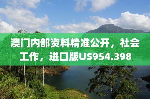 澳门内部资料精准公开，社会工作，进口版US954.398
