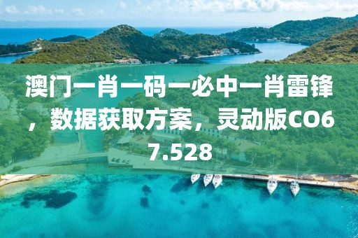 澳门一肖一码一必中一肖雷锋，数据获取方案，灵动版CO67.528