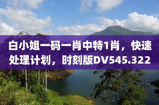 白小姐一码一肖中特1肖，快速处理计划，时刻版DV545.322