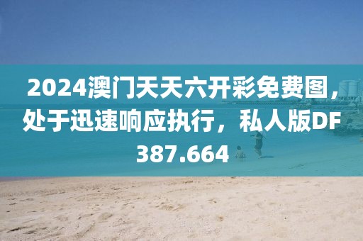 2024澳门天天六开彩免费图，处于迅速响应执行，私人版DF387.664