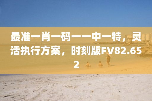 最准一肖一码一一中一特，灵活执行方案，时刻版FV82.652