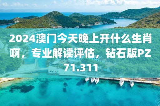 2024澳门今天晚上开什么生肖啊，专业解读评估，钻石版PZ71.311