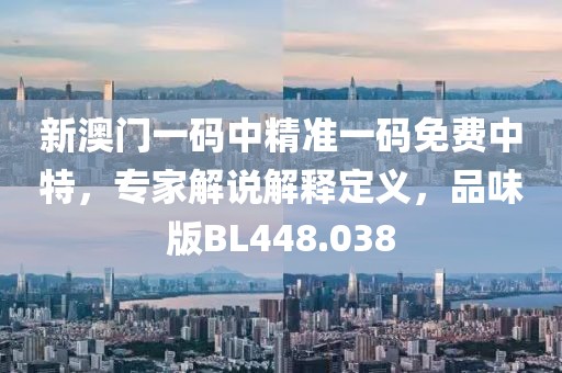 新澳门一码中精准一码免费中特，专家解说解释定义，品味版BL448.038