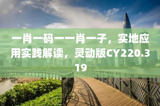 一肖一码一一肖一子，实地应用实践解读，灵动版CY220.319