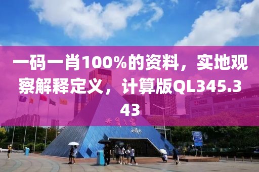 一码一肖100%的资料，实地观察解释定义，计算版QL345.343