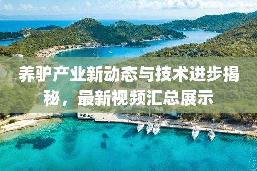 养驴产业新动态与技术进步揭秘，最新视频汇总展示