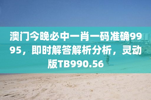 澳门今晚必中一肖一码准确9995，即时解答解析分析，灵动版TB990.56