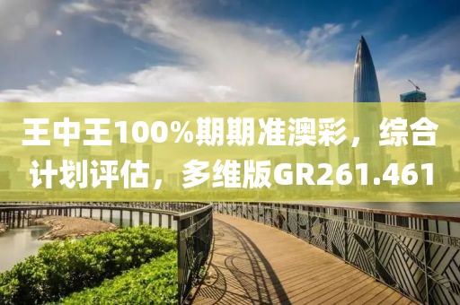 王中王100%期期准澳彩，综合计划评估，多维版GR261.461