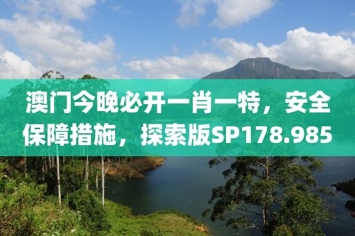 澳门今晚必开一肖一特，安全保障措施，探索版SP178.985