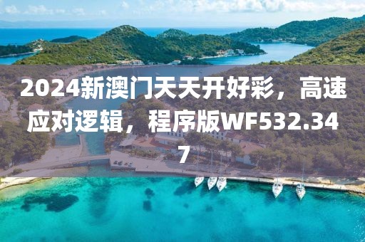 2024新澳门天天开好彩，高速应对逻辑，程序版WF532.347
