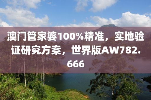 澳门管家婆100%精准，实地验证研究方案，世界版AW782.666