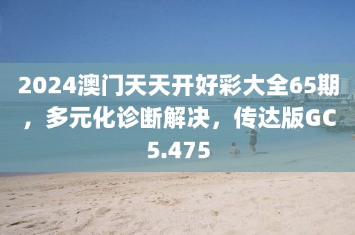 2024澳门天天开好彩大全65期，多元化诊断解决，传达版GC5.475