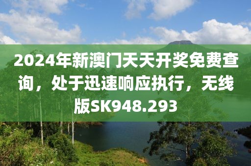 2024年新澳门天天开奖免费查询，处于迅速响应执行，无线版SK948.293