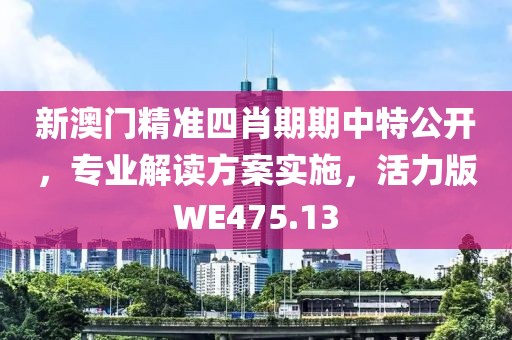 新澳门精准四肖期期中特公开，专业解读方案实施，活力版WE475.13