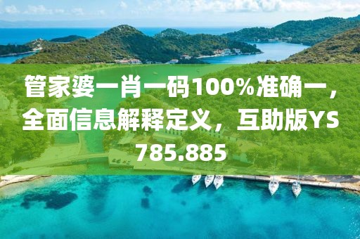 管家婆一肖一码100%准确一，全面信息解释定义，互助版YS785.885