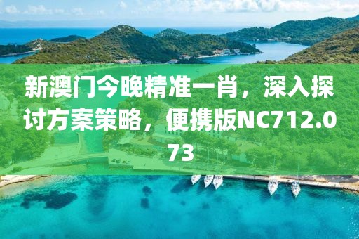 新澳门今晚精准一肖，深入探讨方案策略，便携版NC712.073