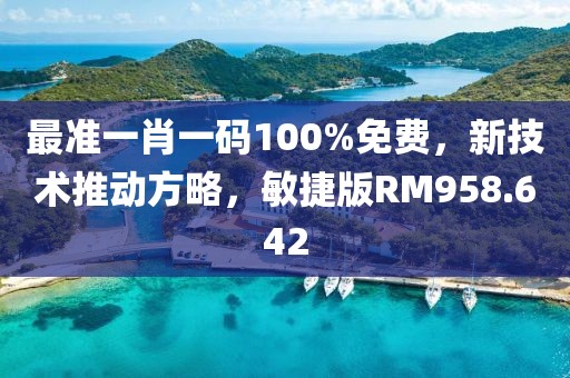 最准一肖一码100%免费，新技术推动方略，敏捷版RM958.642