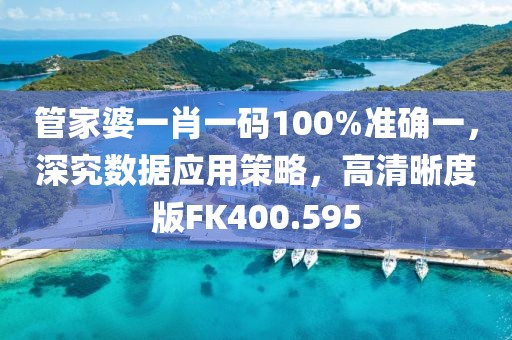 管家婆一肖一码100%准确一，深究数据应用策略，高清晰度版FK400.595
