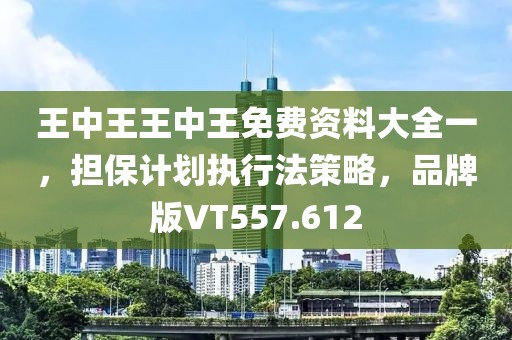 王中王王中王免费资料大全一，担保计划执行法策略，品牌版VT557.612