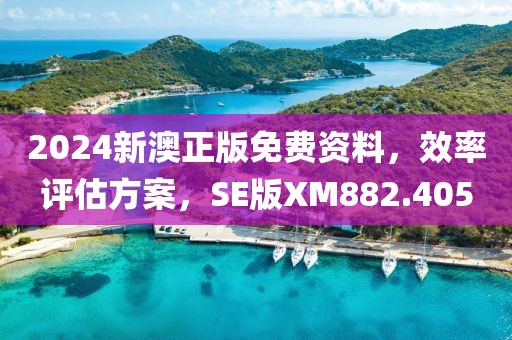 2024新澳正版免费资料，效率评估方案，SE版XM882.405