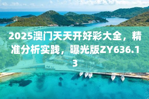 2025澳门天天开好彩大全，精准分析实践，曝光版ZY636.13