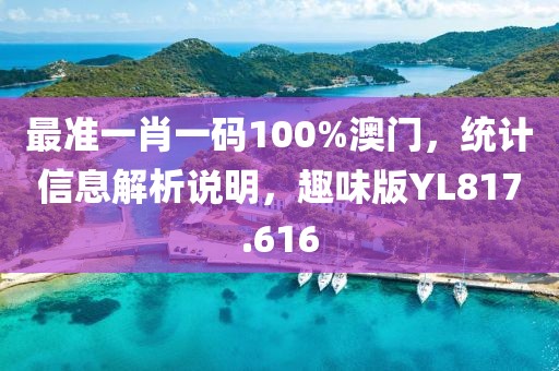 最准一肖一码100%澳门，统计信息解析说明，趣味版YL817.616