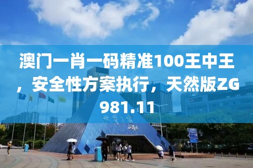澳门一肖一码精准100王中王，安全性方案执行，天然版ZG981.11