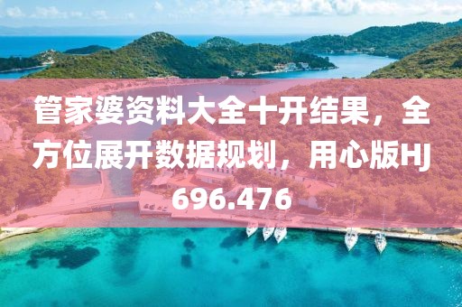 管家婆资料大全十开结果，全方位展开数据规划，用心版HJ696.476