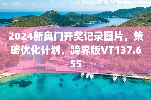 2024新奥门开奖记录图片，策略优化计划，跨界版VT137.655