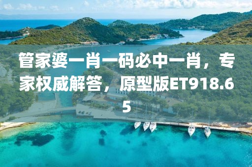 管家婆一肖一码必中一肖，专家权威解答，原型版ET918.65