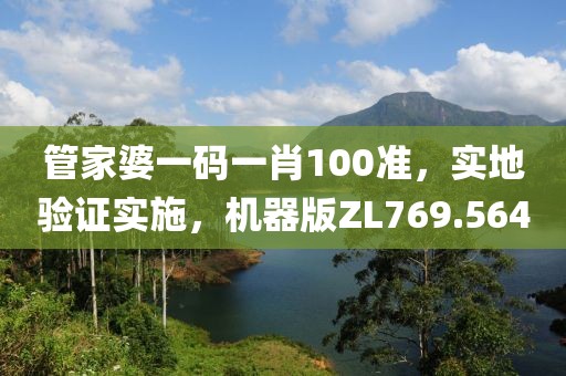 管家婆一码一肖100准，实地验证实施，机器版ZL769.564