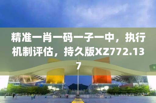 精准一肖一码一子一中，执行机制评估，持久版XZ772.137