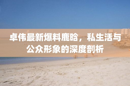 卓伟最新爆料鹿晗，私生活与公众形象的深度剖析