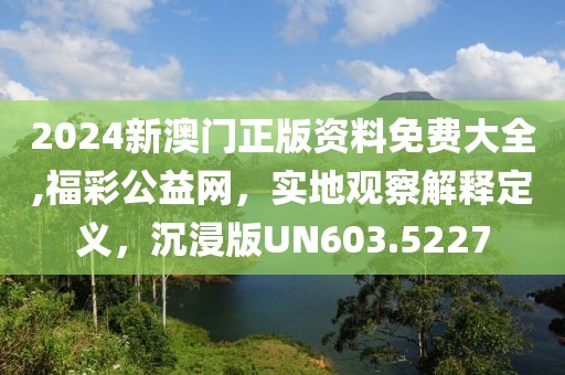 2024新澳门正版资料免费大全,福彩公益网，实地观察解释定义，沉浸版UN603.5227