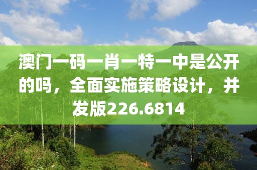 澳门一码一肖一特一中是公开的吗，全面实施策略设计，并发版226.6814