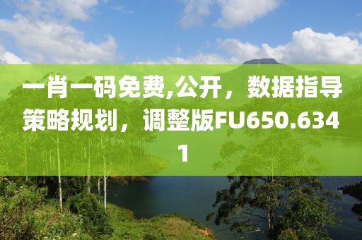 一肖一码免费,公开，数据指导策略规划，调整版FU650.6341