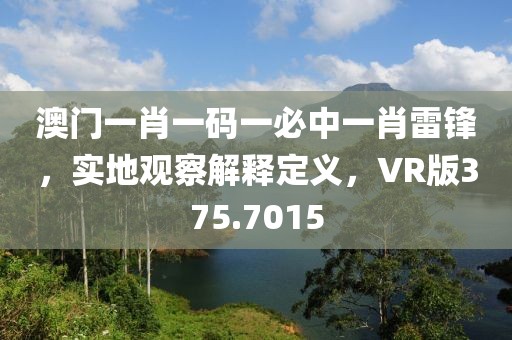 澳门一肖一码一必中一肖雷锋，实地观察解释定义，VR版375.7015