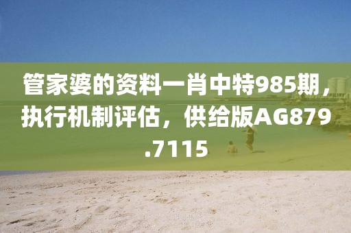 管家婆的资料一肖中特985期，执行机制评估，供给版AG879.7115