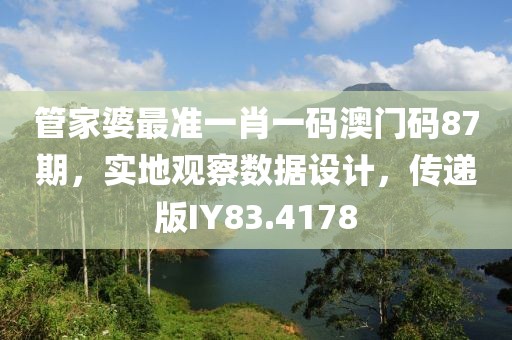 管家婆最准一肖一码澳门码87期，实地观察数据设计，传递版IY83.4178