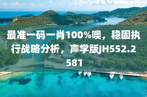 最准一码一肖100%噢，稳固执行战略分析，声学版JH552.2581