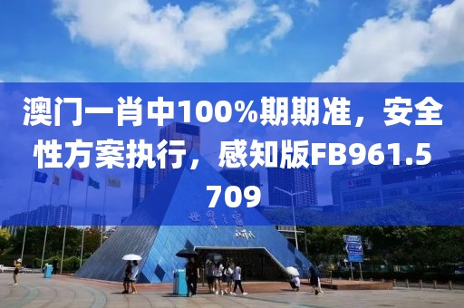 澳门一肖中100%期期准，安全性方案执行，感知版FB961.5709