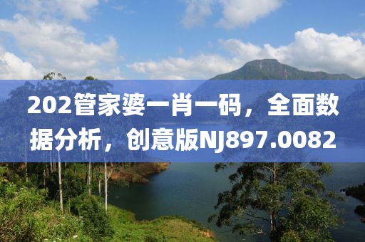 202管家婆一肖一码，全面数据分析，创意版NJ897.0082